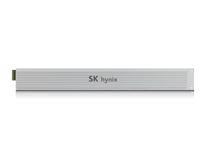 SK hynix - SSD - Enterprise SSD - PE8111